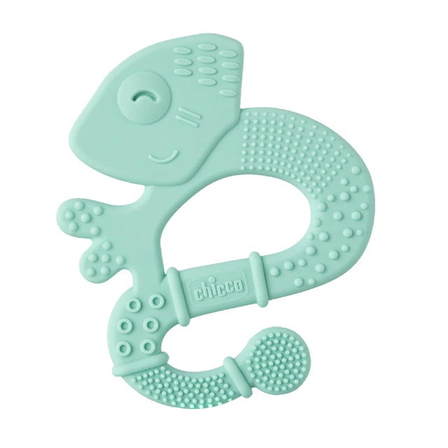 iguana-verde-011-8358ab36afaaab4a4916587837056368-640-0